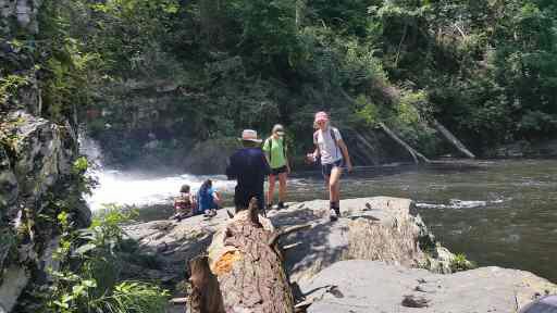 Abrams Falls