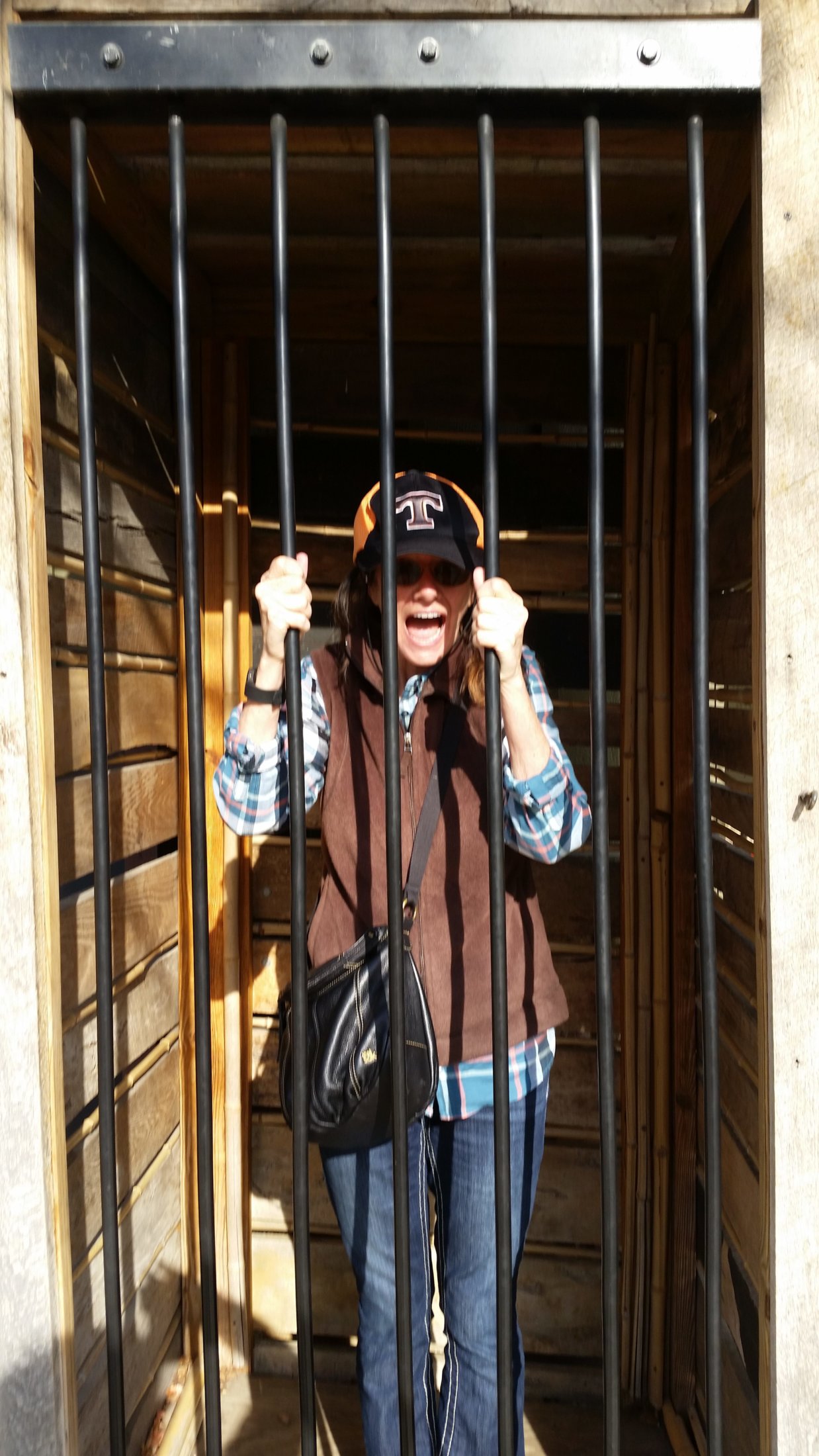 Monkey Cage